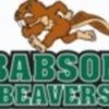 babson Team Logo