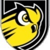 bryn mawr Team Logo