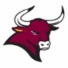 colorado mesa Team Logo