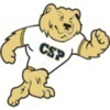 concordia st. paul Team Logo