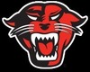 davenport Team Logo