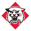 davidson Team Logo