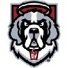 D'youville Team Logo