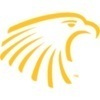 embry-riddle Team Logo