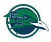 endicott Team Logo