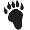 lake forest Team Logo