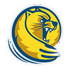 lander Team Logo