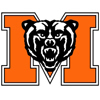 mercer Team Logo