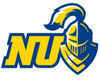 neumann Team Logo