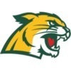 northern michigan Team Logo