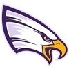 northwestern st. paul Team Logo