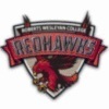 roberts wesleyan Team Logo