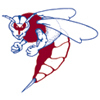 shenandoah Team Logo