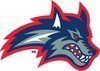 team-image-secondary-//www.laxshop.com/team_logos/stonybrook-w.jpg