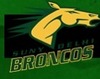 suny delhi Team Logo