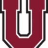 union Team Logo