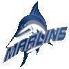 virginia wesleyan Team Logo