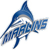 virginia wesleyan Team Logo