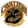 walsh Team Logo