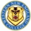 western new england Team Logo