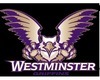 team-image-secondary-//www.laxshop.com/team_logos/westminster-college.jpg