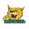 wilmington Team Logo