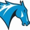colby-sawyer Team Logo