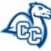 connecticut college Team Logo