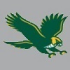 fitchburg state Team Logo