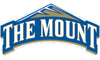 mount saint mary's Team Logo