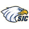 st. joseph's college (NY) Team Logo