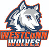 western connecticut Team Logo