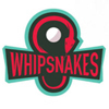 whipsnakes